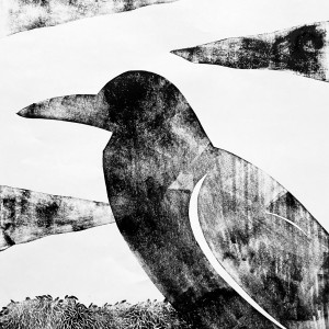 Corbeau, monotype, 50x70cm